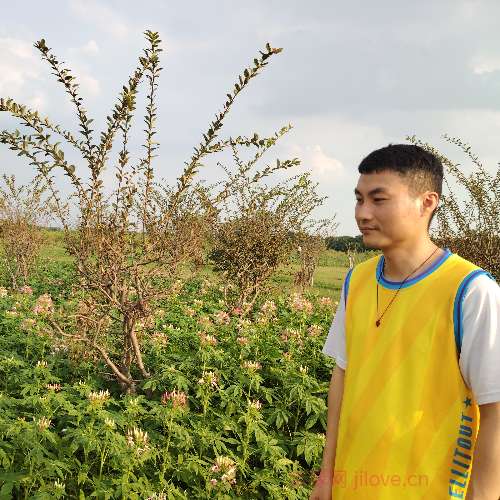 37岁岁广东单身帅哥 - 烟台吉缘网